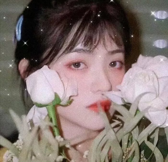 搭秋千的人